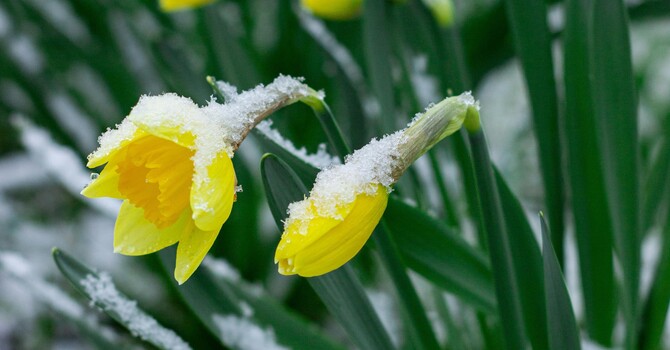 When Spring Hurts: Navigating Grief During Seasonal Transitions image