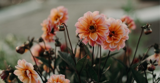 Understanding Ambiguous Loss: The Grief That Often Goes Unrecognized