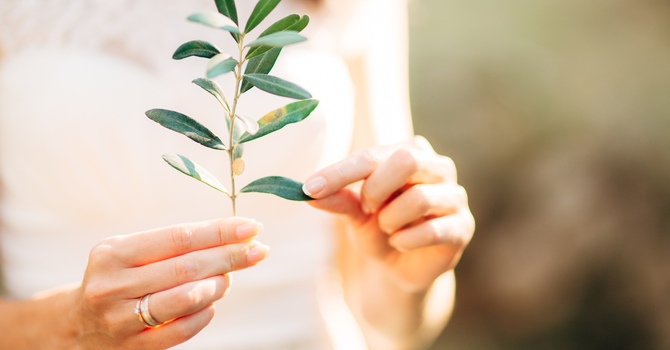 Understanding Dementia: More Than Just a Normal Part of Aging